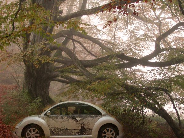 Klaus Voormann Portrait © Jörg Steinmetz
